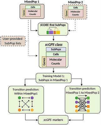 scGPS: Determining Cell States and Global Fate Potential of Subpopulations